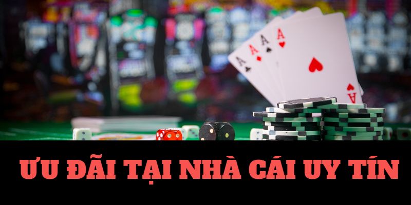 BK8 - Cá Cược Thể Thao Casino Trực Tuyến BK8 - Cá Cược Thể Thao Casino Trực Tuyến